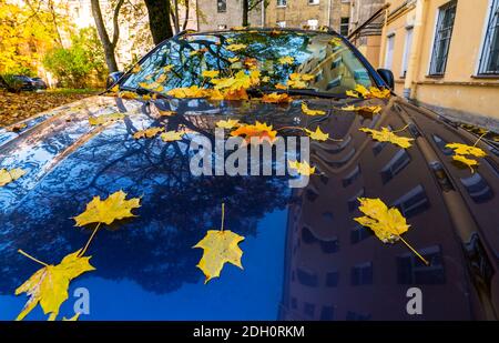 Foglie di acero gialle giacciono sul cappuccio di un blu auto Foto Stock