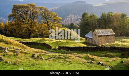 Autunno a Bell Hagg Barn Foto Stock