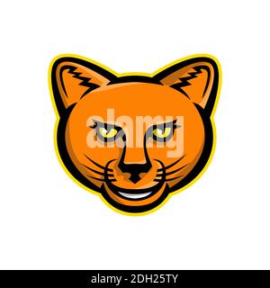 Mascotte sorridente Puma Head Foto Stock