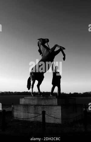 Alba sulla statua di Newmarket Stallion di Marcia Astor e Allan Sly, all'ippodromo di Newmarket, Suffolk, Inghilterra, Regno Unito Foto Stock