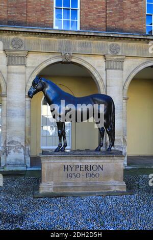 Statua del cavallo da corsa Hyperion, il Jockey Club Estate e il Museo delle corse ippiche, Newmarket Town, Suffolk, Inghilterra, Regno Unito Foto Stock