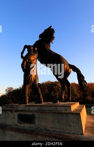 Alba sulla statua di Newmarket Stallion di Marcia Astor e Allan Sly, all'ippodromo di Newmarket, Suffolk, Inghilterra, Regno Unito Foto Stock