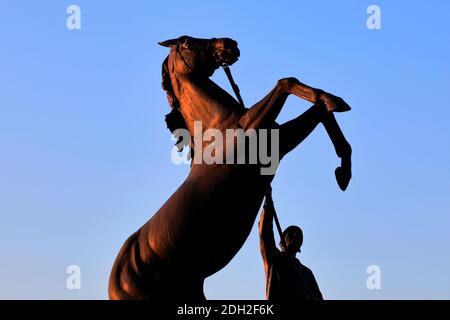 Alba sulla statua di Newmarket Stallion di Marcia Astor e Allan Sly, all'ippodromo di Newmarket, Suffolk, Inghilterra, Regno Unito Foto Stock