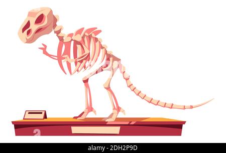 Frammento di scheletro di dinosauro, ossa fossilizzate di lucertole preistoriche cartoni animati illustrazione vettoriale Illustrazione Vettoriale