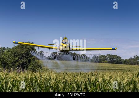 Crop giallo Duster spruzzando Pestisides su raccolti Foto Stock