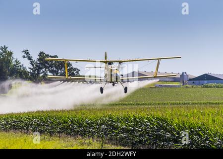 Crop giallo Duster spruzzando Pestisides su raccolti Foto Stock