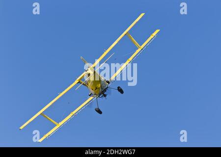 Crop giallo Duster spruzzando Pestisides su raccolti Foto Stock