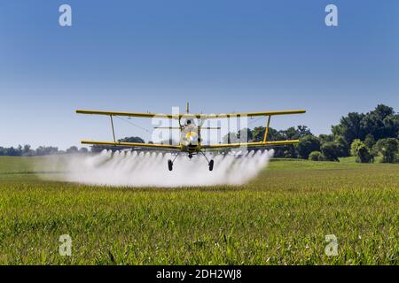 Crop giallo Duster spruzzando Pestisides su raccolti Foto Stock