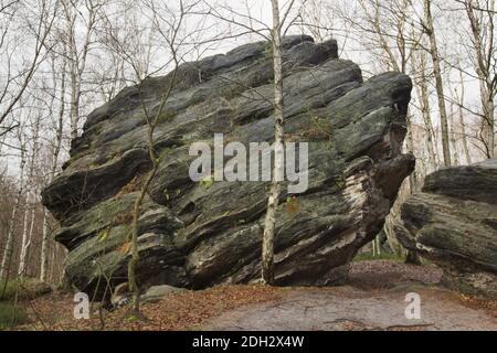 Grandi rocce di Tisa (Velké Tiské stěny) nella Svizzera boema (České Švýcarsko) nella Boemia settentrionale, Repubblica Ceca. Foto Stock