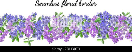 Contorno fiore primaverile senza cuciture isolato su bianco. Vettore phlox disegno a mano. Ottima stampa per biglietti d'auguri, vestiti, biancheria da letto, tessuto, tex Illustrazione Vettoriale