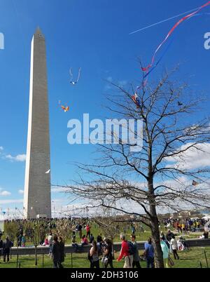 WASHINGTON, DC - 01 Aprile 2017: Una grande folla di adulti e bambini che volano al Kite Festival sul National Mall, vicino al Washington M. Foto Stock