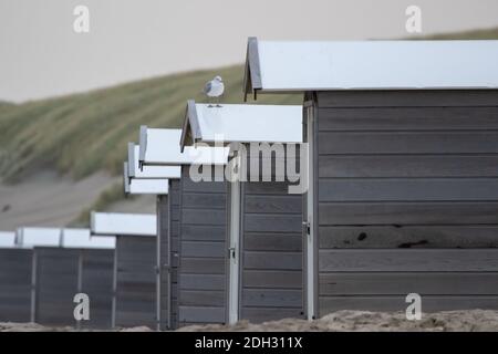 Vacanza a Texel e per cambiare le capanne sulla spiaggia Foto Stock