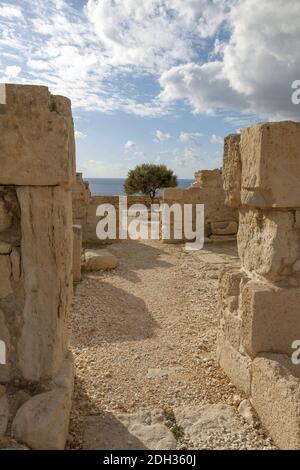 Albero unico nel mezzo delle rovine dell'antica città di Kourion, Cipro Foto Stock