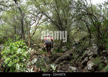 Vista posteriore di un escursionista femminile nella foresta in Kenya rurale Foto Stock