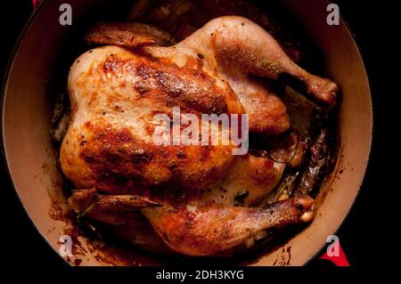 pollo arrosto intero in citronella e latte di cocco, forno olandese Foto Stock