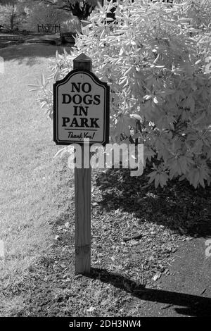 Un cartello 'No Dogs' in un parco. Foto Stock