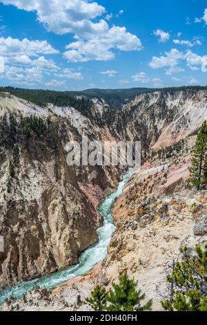 Il famoso Grand Canyon di Yellowstone nel Wyoming Foto Stock