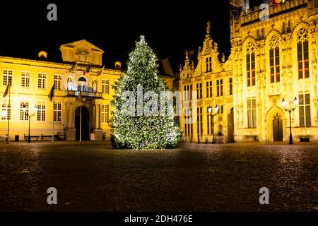 Albero di Natale su piazza Burg e Municipio di Bruges, Belgio. Luci e decorazioni festive. Periodo invernale magico. Foto Stock