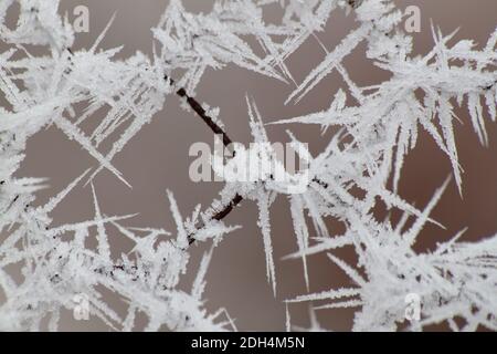 Recinzione catena-maglia coperta da brina. Foto di primo piano Foto Stock