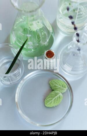 Vari flaconi sul tavolo in laboratorio Foto Stock