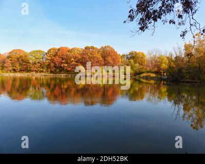 Splendida scena autunnale di foresta di alberi pieni di foglie in colori autunnali di giallo, arancione, marrone riflesso in acqua del lago con cielo blu luminoso Foto Stock