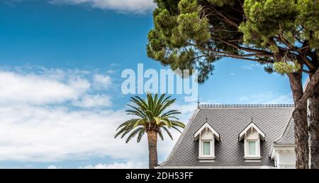 Palm Tree e Hotel Blanc su cielo blu Foto Stock