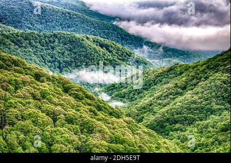 Mattina foggy in cresta blu montagna area pic-nic Foto Stock