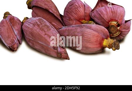 Banana blossom isolata su sfondo bianco con tracciato di ritaglio Foto Stock