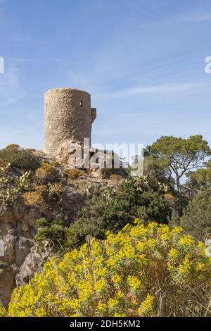 Torre des Verger auch Torre de ses Ã€nimes Foto Stock