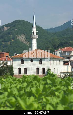 La moschea bianca della frazione Melivoia un villaggio di pomak di minoranza musulman nella Tracia Grecia Foto Stock