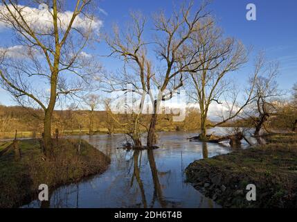 Il fiume Elbsche scorre nella Ruhr a Wengern, Wetter, Ruhr, Nord Reno-Westfalia, Germania Foto Stock