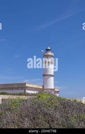 Lungi des Cap de Ses Salines Foto Stock