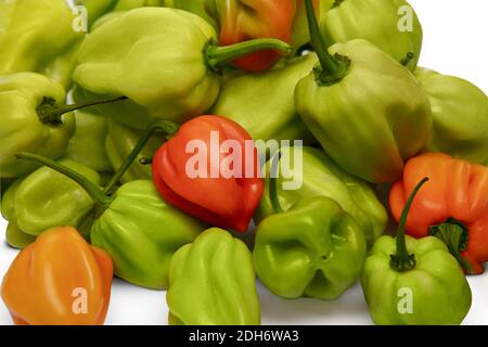 Peperoni caldi verde Habanero, giallo e rosso su sfondo bianco. Foto Stock
