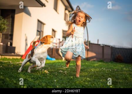 Bambina che corre con cane beagle in giardino il giorno d'estate. Animale domestico con concetto di bambino. Foto Stock