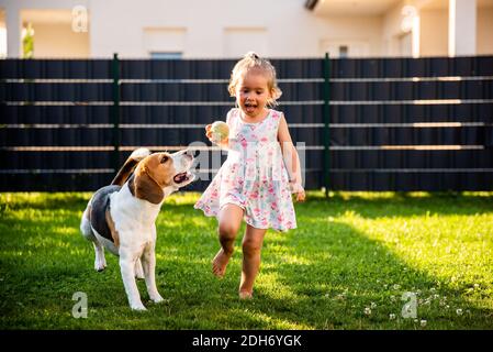 Bambina che corre con cane beagle in giardino il giorno d'estate. Animale domestico con concetto di bambino. Foto Stock