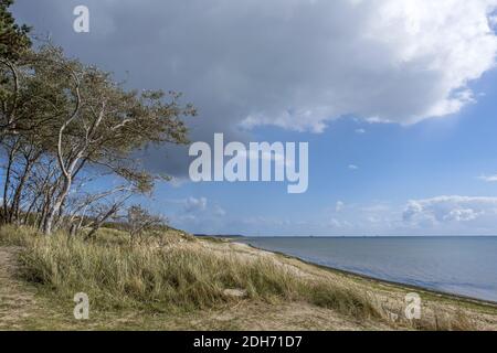 Spiaggia vicino a Hedehusum, Utersum, Mare del Nord isola FÃ¶hr Foto Stock