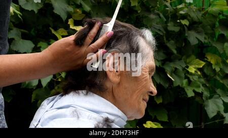 Primo piano di mani femminili che tagliano i capelli di donna anziana a casa in cortile esterno. Donna che tiene il pettine e i capelli tra le dita per tagliare i capelli Foto Stock