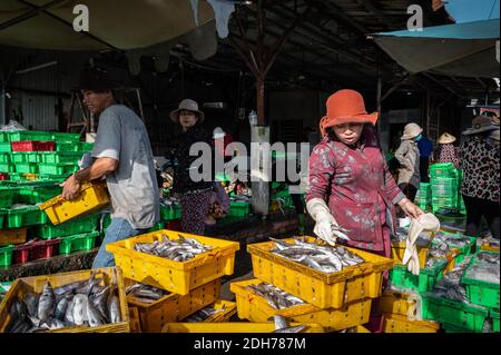 Venditori che lavorano le loro bancarelle di pesce nel mercato, Phuoc Hai, Vietnam Foto Stock