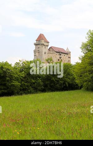 Castello del Liechtenstein vicino a Maria Enzersdorf, l'Austria è ancora una volta di proprietà della famiglia regnante del Principato del Liechtenstein. Il castello è stato Foto Stock
