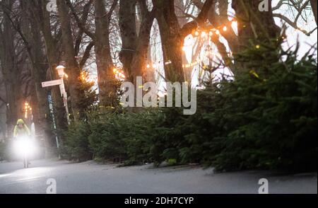 Hannover, Germania. 10 dicembre 2020. Una donna cavalcava una bicicletta davanti a una vendita di alberi di Natale all'alba. Credit: Julian Stratenschulte/dpa/Alamy Live News Foto Stock