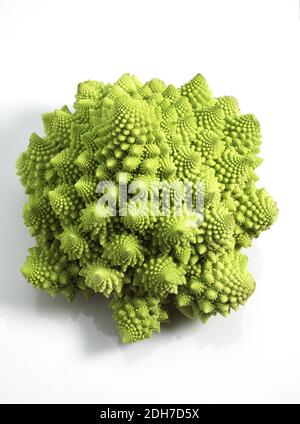 Cavolo broccolo romanesco, Brassica oleracea, vegetali contro uno sfondo bianco Foto Stock