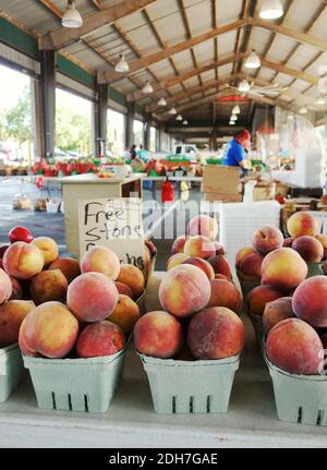Pesche fresche presso il North Carolina state Farmers Market a Raleigh, North Carolina Foto Stock