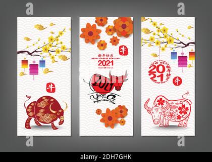 Set di striscioni verticali disegnati a mano con Capodanno cinese Ox 2021 (traduzione cinese felice anno nuovo, anno di Ox) Illustrazione Vettoriale