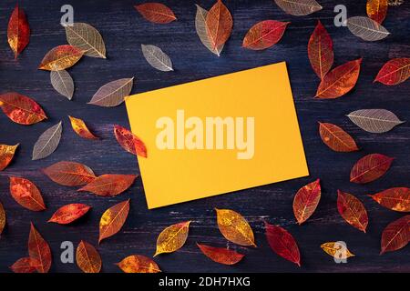 Sfondo autunnale con foglie di autunno vibranti e un biglietto d'auguri, un modello di disegno piatto per un volantino, un invito o un buono regalo Foto Stock