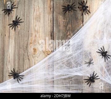 Ragnatela bianca con ragni neri su un legno grigio sfondo delle vecchie tavole Foto Stock