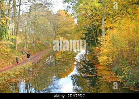 Foto per una caratteristica su Wellesley Woodland, Aldershot - Autunno weekend passeggiate. Canale di Basingstoke. Foto Stock