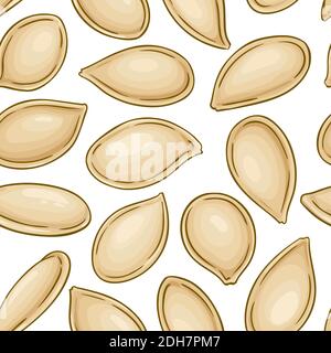 modello vettoriale dei semi di zucca Illustrazione Vettoriale