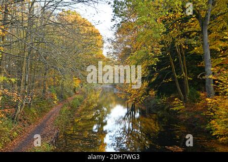 Foto per una caratteristica su Wellesley Woodland, Aldershot - Autunno weekend passeggiate. Canale di Basingstoke. Foto Stock