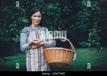 Ritratto di donna che porta un cesto di vimini al frutteto di mele Foto Stock