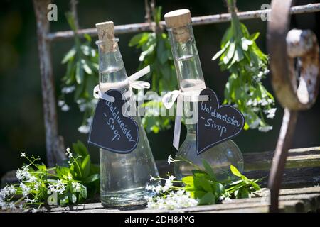 Woodruff dolce (Galium odoratum), sciroppo di Woodruff dolce, Germania Foto Stock